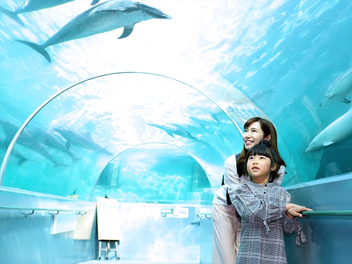 Taiji Whale Museum