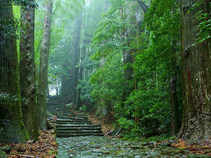 Daimonzaka