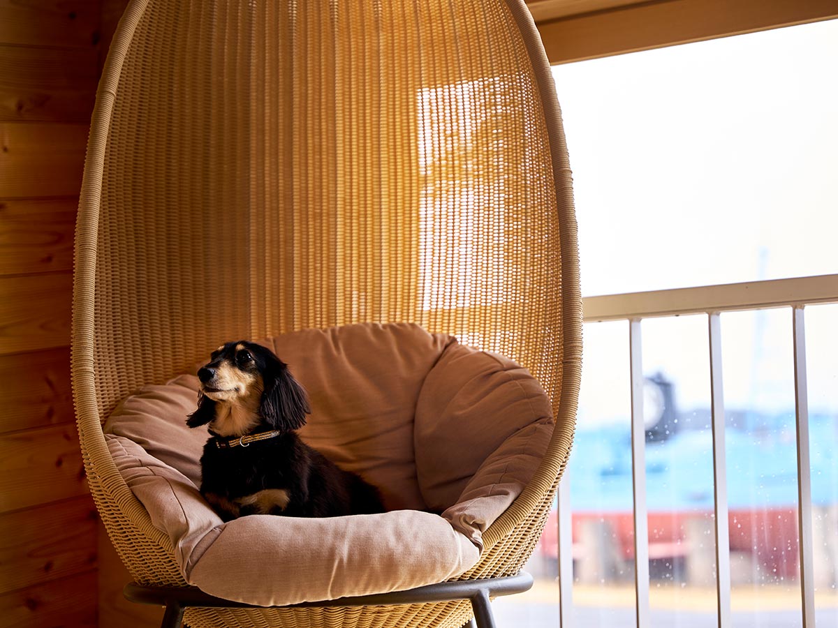 ドッグフレンドリーヴィラ