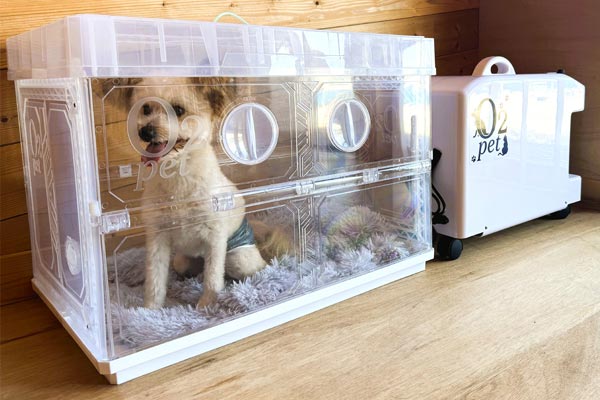 愛犬用酸素カプセル